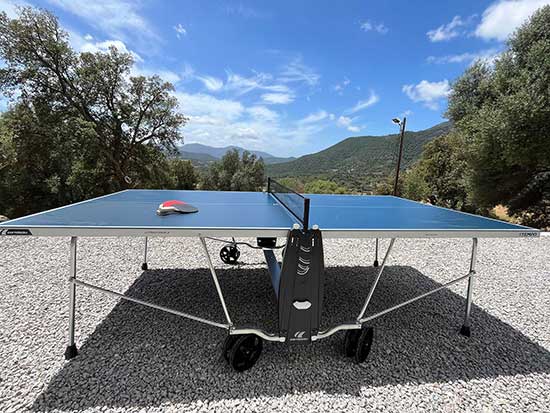 Table de ping pong